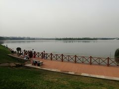 -丁香湖公园