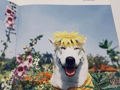 -隹木咖啡馆(宝龙广场店)