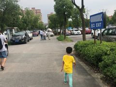 -野生动物园-停车场