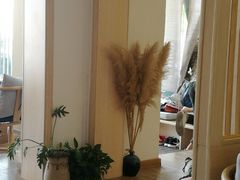 -茶庐(百花洲路店)