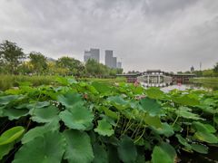 -西海子公园