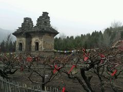 连理塔-蒙山大佛景区