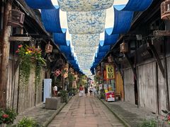 -成都安仁福朋喜来登酒店