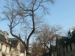 iphone_upload_pic-山东大学(趵突泉校区)