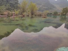 -靖西鹅泉风景区
