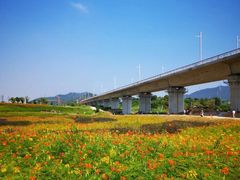 -光明小镇欢乐田园