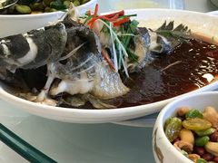 -绍兴饭店知遇楼(环山路店)
