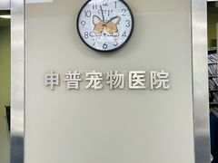 -申普宠物医院·心脏介入·心血管微创(总院)