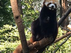 -昆明动物园