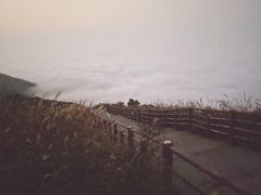 -大围山国家森林公园