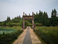 -杏花村文化旅游区
