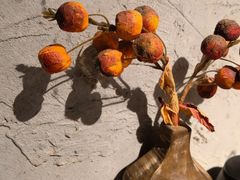 -地二手作鱼汤馄饨(上街里店)