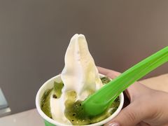 -Salud撒露欧洲冻酸奶(蓝色港湾店)