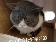 -猫爷宠物生活馆·撸猫馆