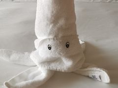 -三亚亚龙湾万豪度假酒店