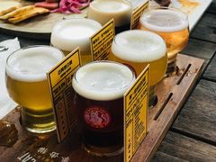 -Boxing Cat Brewery拳击猫精酿啤酒馆(永福店)