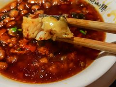 -大鱼山房鱼头火锅(老字号品质店)
