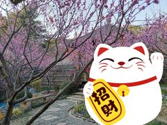 -无锡梅园公园