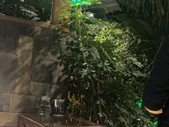 -金稼园·金平湖农家菜