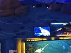 -烟台海昌鲸鲨海洋公园