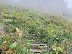 -白草畔自然风景区