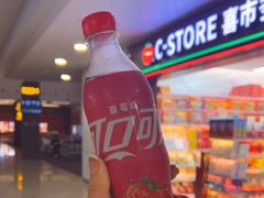 -广州白云国际机场-T2航站楼
