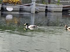 -南长河公园