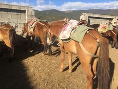 -云端彼岸马场