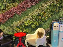 -快乐迪KTV(中山路店)