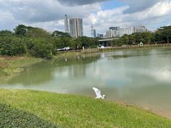 -福田红树林生态公园