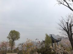 -东方亚克西餐厅(西康路店)