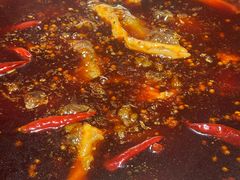 -李掌柜鲜菜火锅(移民广场店)
