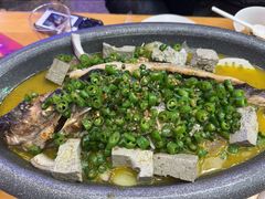 -哈力家·西北烧烤烤串(凤城十路店)