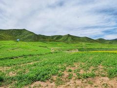 -扁都口生态休闲旅游区