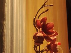 -和里合·颜愈SPA·Relax瑶浴·Massage(石厦店)
