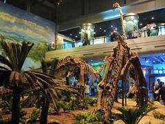 -自贡恐龙博物馆