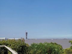 -上海吴淞炮台湾国家湿地公园