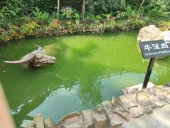 -燊海井