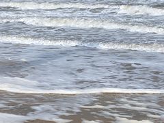 -烟台金沙滩海滨公园