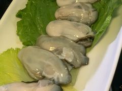 -蚝专家