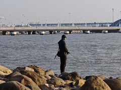 -吴淞炮台湾湿地森林公园烧烤区
