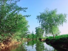 -会仙湿地
