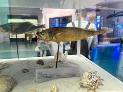 -上海中国航海博物馆