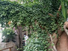 -石家庄市植物园