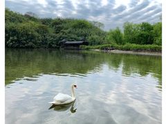 -杭州野生动物世界