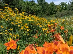 -国家植物园南园