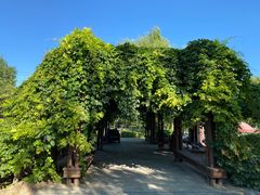 -古塔公园