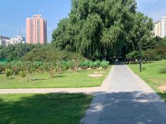 -莲花池公园