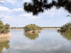 -山东八大碗山东老字号