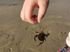 -ChanDu躔度咖啡(灯塔店)